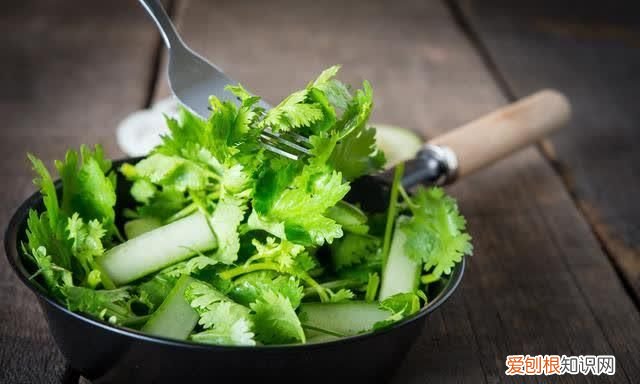 东北谷雨种什么蔬菜，谷雨可以种什么蔬菜 谷雨适宜种哪些蔬菜