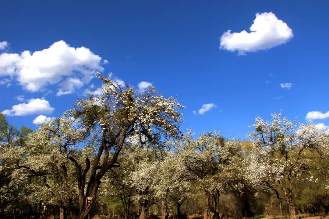定西旅游景点介绍 定西旅游必游景点有哪些