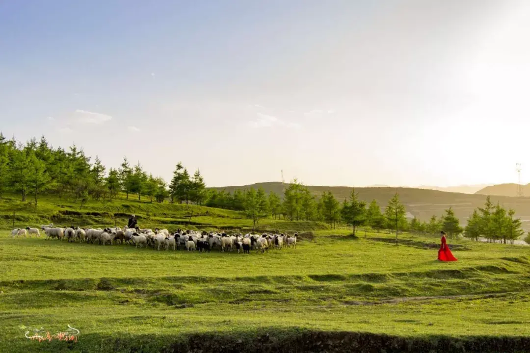 定西旅游景点介绍 定西旅游必游景点有哪些