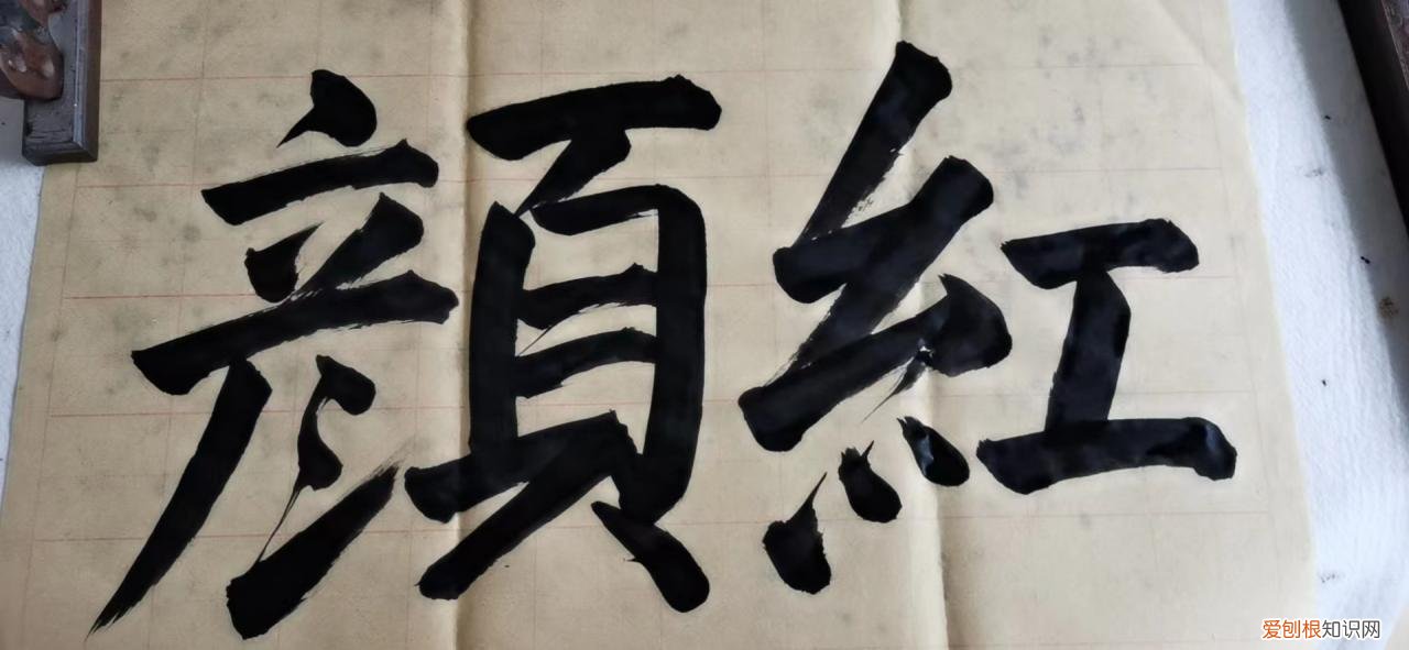 2010世界杯朝鲜水瓶事件 2010世界杯