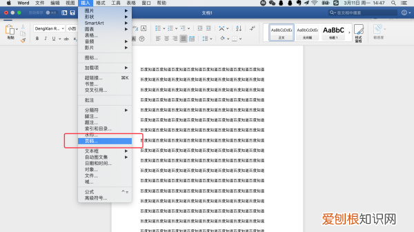 第一页不显示页码怎么设置