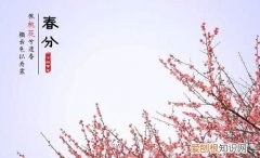 2022年二月十四阳历是几号，春分后还冷 春分后是否还冷