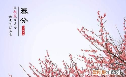 2022年二月十四阳历是几号，春分后还冷 春分后是否还冷