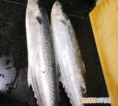 酱焖大鲅鱼这样做好吃一百倍!多吃还能助消化吗