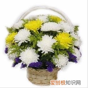 上坟用花一般多少朵 扫墓用什么花