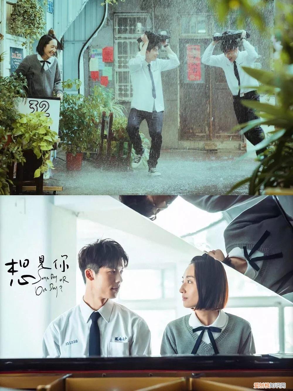 行尸走肉哪个播放器能看 哪里可以看行尸走肉