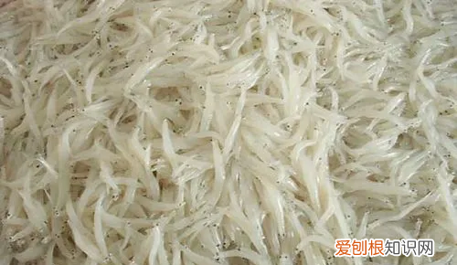 面鱼能冷冻吗,面条鱼怎么保存