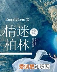 异国情缘类言情小说