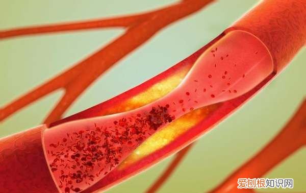 女人吃小麦胚芽好处 女人吃小麦胚芽的功效有哪些
