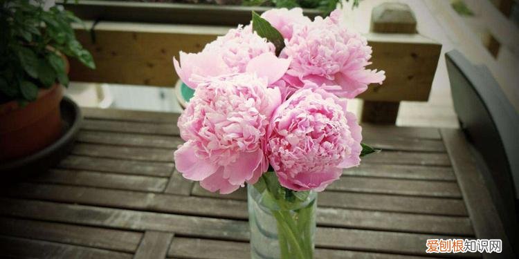 70岁祝寿词,简短,通俗 七十大寿祝福语简短