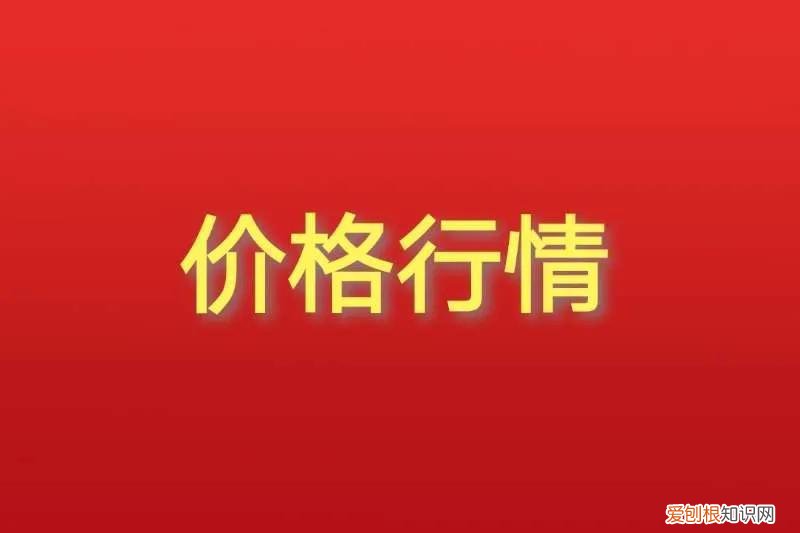 白术的价格，今年的价格