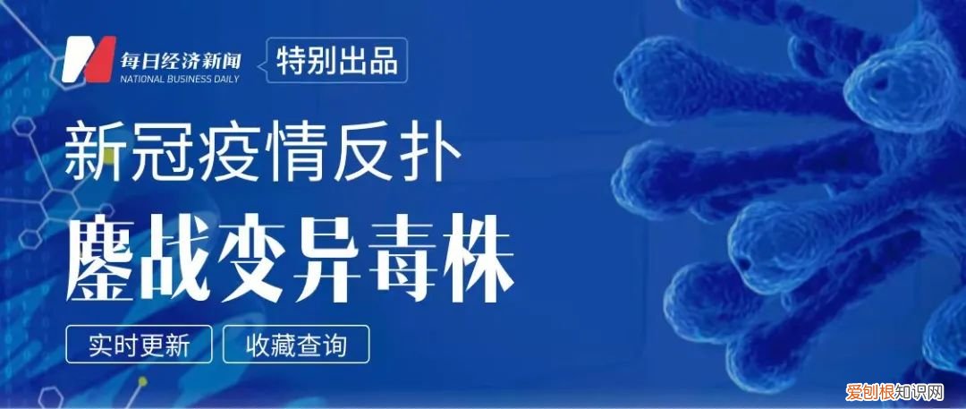 出生率和死亡率 出生率