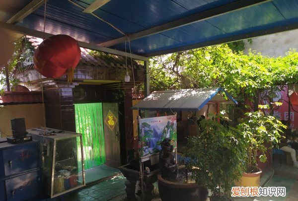 微信朋友圈屏蔽了怎么还能看得到