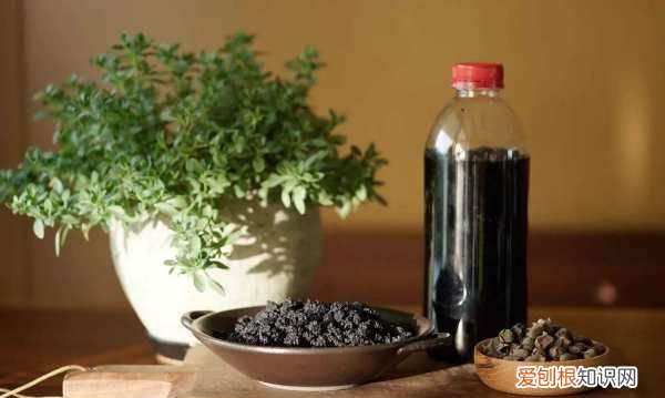 桑葚泡冰糖久了能喝，桑葚泡冰糖放了几个月了可以喝吗