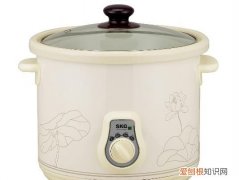 电炖锅水不沸腾能吃 电炖锅水不沸腾是否能吃