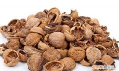 核桃壳如何养花 核桃壳怎么养花