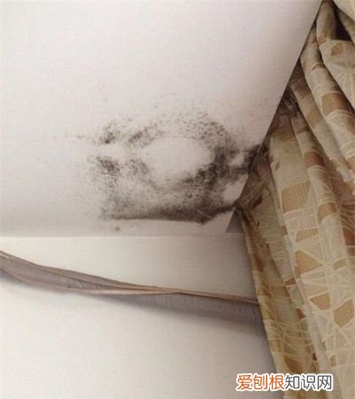 屋顶发霉怎么处理 屋顶发霉如何处理