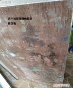 柜子潮湿发霉了怎么办 柜子潮湿发霉了如何处理