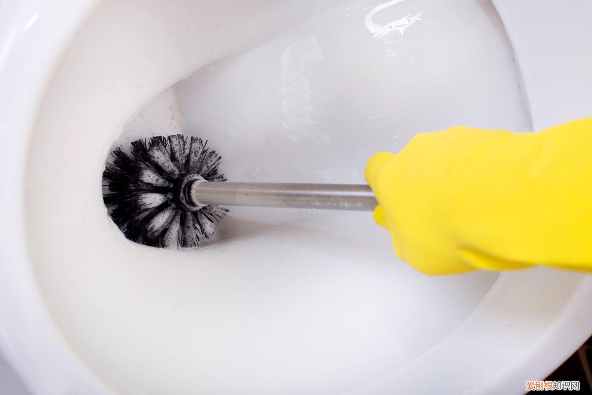 白醋的作用,白醋的用处有哪些