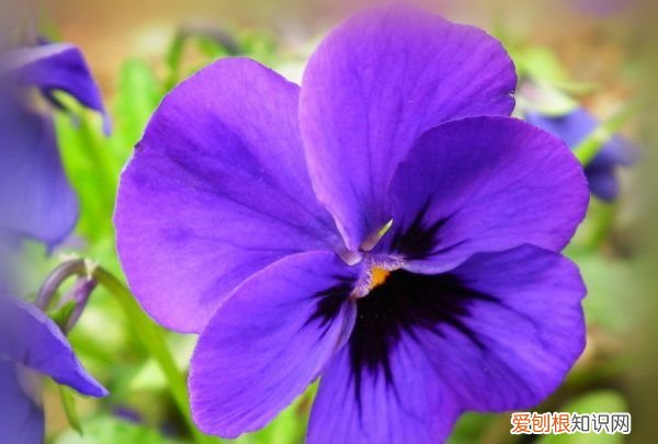 如何让图片边缘模糊,PS需要怎的才可以模糊边缘