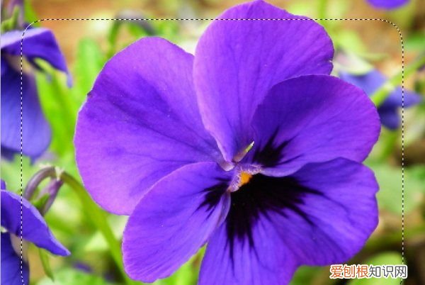 如何让图片边缘模糊,PS需要怎的才可以模糊边缘