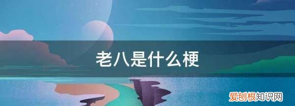 老六老八是什么梗，战争后遗症老八什么梗
