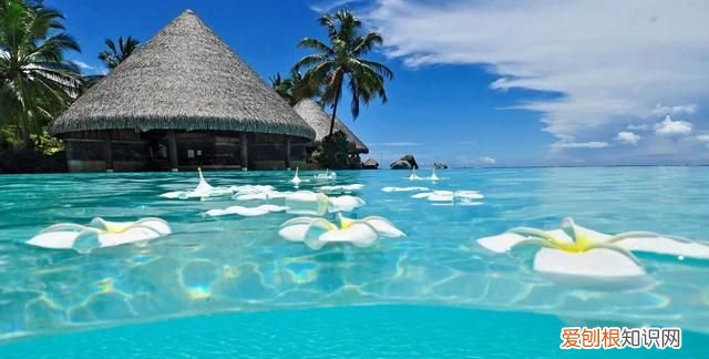 励志的句子正能量暖心 励志暖心的句子简短