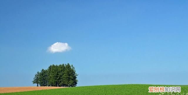 励志的句子正能量暖心 励志暖心的句子简短