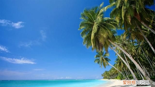 励志的句子正能量暖心 励志暖心的句子简短