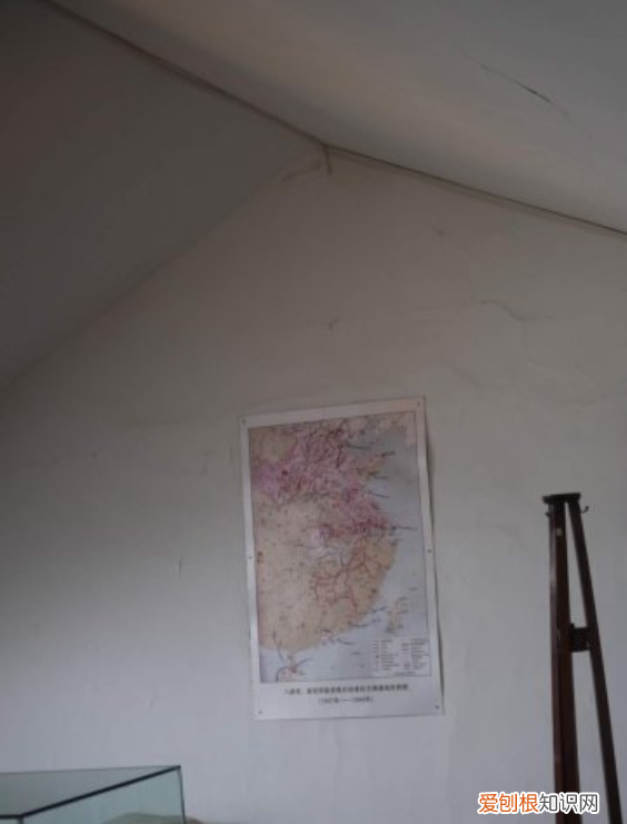 自制狗粮小方法