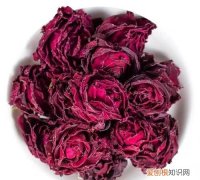 重瓣玫瑰花和普通玫瑰花的区别 重瓣玫瑰花和普通玫瑰花有什么不同