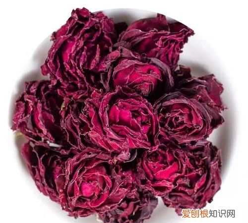 重瓣玫瑰花和普通玫瑰花的区别 重瓣玫瑰花和普通玫瑰花有什么不同