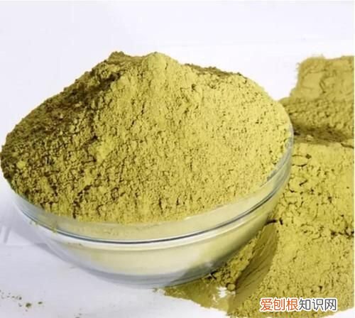 哪些植物可以染发，植物染发有哪些 有哪些植物可以用于染发