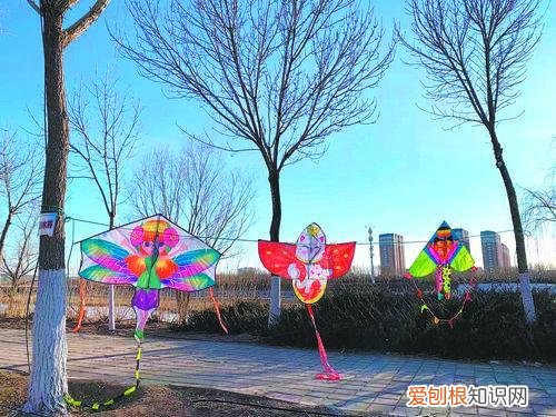 义乌小商品批发城,赤峰义乌小商品批发城