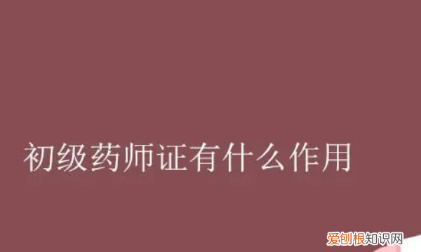 初级药师一年考几次，初级药师考哪几科必须一次性考完