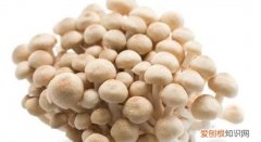 蟹味菇的营养价值 蟹味菇的营养价值与功效