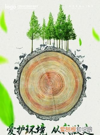 保护森林的重要性，关于森林防火和保护森林的名言