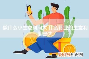 做什么小生意利润大,什么行业的生意利润最大