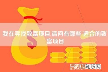 我在寻找致富项目,请问有哪些,适合的致富项目