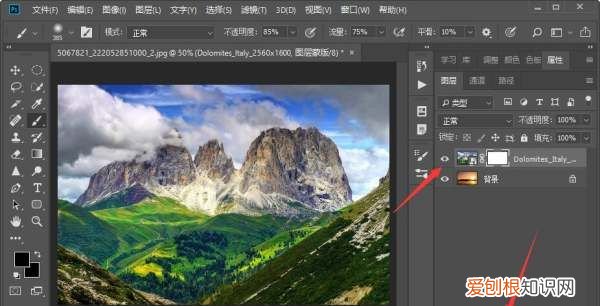 ps怎样把图层变成白色，PS需要怎的才可以添加图层蒙版