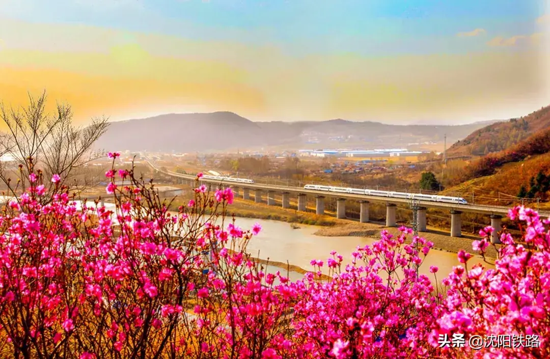 g开头的是什么车,g开头的是什么火车