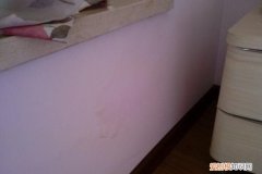 房间墙面发霉了怎么处理 房间墙面发霉了如何处理