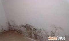 房间墙壁发霉怎么办 房间墙壁发霉如何处理