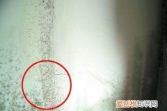 水泥漆墙面发霉怎么办 水泥漆墙面发霉如何处理