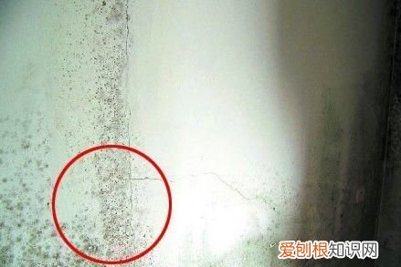 水泥漆墙面发霉怎么办 水泥漆墙面发霉如何处理