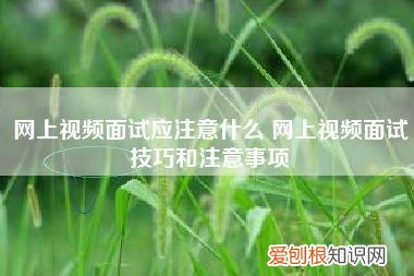 网上视频面试应注意什么,网上视频面试技巧和注意事项