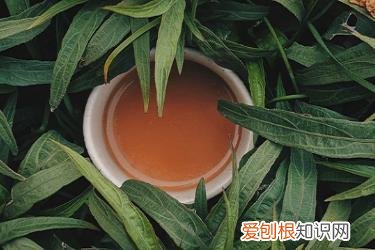 抖音橱窗收费吗？怎么收费？