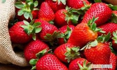草莓什么季节繁殖最好，草莓哪个季节最好吃 草莓什么季节最好吃