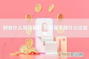 创业什么项目最好,创业新手做什么比较好
