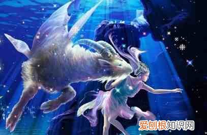 配金牛最稳妥的三个星座 金牛座和什么星座最配